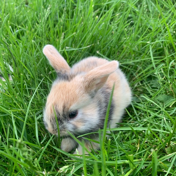 Meet your Posher, Alishya - Picture 1 of 1